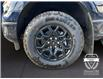 2025 Ford F-150 XLT (Stk: 11967) in Golden - Image 16 of 17