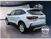 2025 Ford Escape Active (Stk: 11936) in Golden - Image 7 of 17