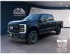 2025 Ford F-250 Platinum (Stk: 12028) in Golden - Image 1 of 17