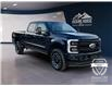 2025 Ford F-250 Platinum (Stk: 12028) in Golden - Image 3 of 17