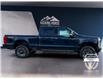 2025 Ford F-250 Platinum (Stk: 12028) in Golden - Image 4 of 17