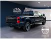 2025 Ford F-250 Platinum (Stk: 12028) in Golden - Image 5 of 17