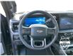 2025 Ford F-250 Platinum (Stk: 12028) in Golden - Image 10 of 17