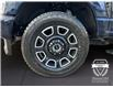 2025 Ford F-250 Platinum (Stk: 12028) in Golden - Image 16 of 17