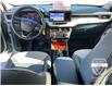 2024 Ford Maverick XLT (Stk: 11450) in Golden - Image 11 of 17