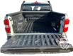 2024 Ford Maverick XLT (Stk: 11450) in Golden - Image 13 of 17