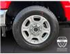 2025 Ford F-250 XLT (Stk: 12030) in Golden - Image 15 of 16