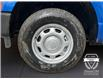 2025 Ford F-150 XL (Stk: 12001) in Golden - Image 16 of 17