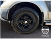 2010 Nissan Frontier  (Stk: 12127) in Golden - Image 16 of 17
