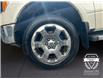 2012 Ford F-150 Lariat (Stk: 3722) in Golden - Image 16 of 17