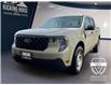 2025 Ford Maverick XL (Stk: 12068) in Golden - Image 1 of 17