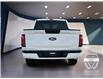2025 Ford F-150 XLT (Stk: 12065) in Golden - Image 6 of 17