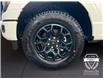 2025 Ford F-150 XLT (Stk: 12065) in Golden - Image 16 of 17