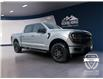 2025 Ford F-150 XLT (Stk: 12042) in Golden - Image 3 of 17