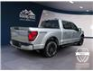 2025 Ford F-150 XLT (Stk: 12042) in Golden - Image 5 of 17
