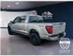 2025 Ford F-150 XLT (Stk: 12042) in Golden - Image 7 of 17