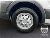 2025 Ford Transit-150 Cargo Base (Stk: 12044) in Golden - Image 16 of 17