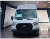 2025 Ford Transit-350 Cargo Base (Stk: 12066) in Golden - Image 2 of 17