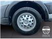 2025 Ford Transit-350 Cargo Base (Stk: 12039) in Golden - Image 16 of 17
