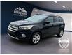 2018 Ford Escape SE (Stk: 12159) in Golden - Image 1 of 17