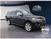 2024 Ford Expedition Max Platinum (Stk: 11701) in Golden - Image 3 of 17