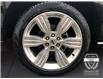2024 Ford Expedition Max Platinum (Stk: 11701) in Golden - Image 16 of 17