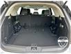 2025 Ford Explorer Active (Stk: 12101) in Golden - Image 13 of 17