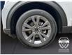 2025 Ford Explorer Active (Stk: 12101) in Golden - Image 16 of 17