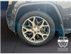 2021 Jeep Grand Cherokee Limited (Stk: 15079) in Golden - Image 16 of 17