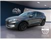 2021 Ford Escape SE (Stk: 15055) in Golden - Image 1 of 17