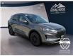 2021 Ford Escape SE (Stk: 15055) in Golden - Image 3 of 17