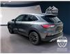 2021 Ford Escape SE (Stk: 15055) in Golden - Image 7 of 17