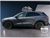 2021 Ford Escape SE (Stk: 15055) in Golden - Image 8 of 17