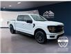 2025 Ford F-150 XLT (Stk: 12082) in Golden - Image 3 of 17