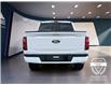 2025 Ford F-150 XLT (Stk: 12082) in Golden - Image 6 of 17