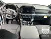 2025 Ford F-150 XLT (Stk: 12082) in Golden - Image 11 of 17