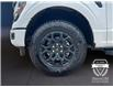 2025 Ford F-150 XLT (Stk: 12082) in Golden - Image 16 of 17