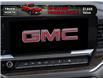 2025 GMC Sierra 1500 Elevation (Stk: SG323122) in Markham - Image 20 of 24