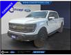 2024 Ford F-150 Tremor (Stk: P51605A) in GEORGETOWN - Image 1 of 16
