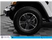 2023 Jeep Wrangler Sahara (Stk: TU0060) in Calgary - Image 9 of 20