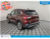 2021 Ford Escape Titanium (Stk: TU0081) in Calgary - Image 8 of 24