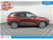 2021 Ford Escape Titanium (Stk: TU0081) in Calgary - Image 5 of 24
