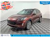 2021 Ford Escape Titanium (Stk: TU0081) in Calgary - Image 1 of 24