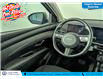 2025 Hyundai Tucson Preferred (Stk: TU0086) in Calgary - Image 16 of 24