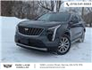 2020 Cadillac XT4 Premium Luxury (Stk: 501849) in Sarnia - Image 1 of 34