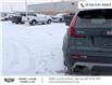 2020 Cadillac XT4 Premium Luxury (Stk: 501849) in Sarnia - Image 12 of 34