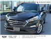 2017 Hyundai Tucson SE (Stk: 501967) in Sarnia - Image 1 of 28