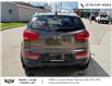 2014 Kia Sportage LX (Stk: 501970) in Sarnia - Image 7 of 23