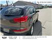 2014 Kia Sportage LX (Stk: 501970) in Sarnia - Image 9 of 23