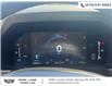 2024 Ford Ranger XLT (Stk: 502014) in Sarnia - Image 25 of 28
